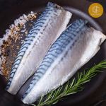 Cá nục hoa Na Uy fillet (saba)- Seafood from Norway