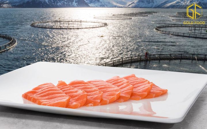 Tầm nhìn xứ mệnh